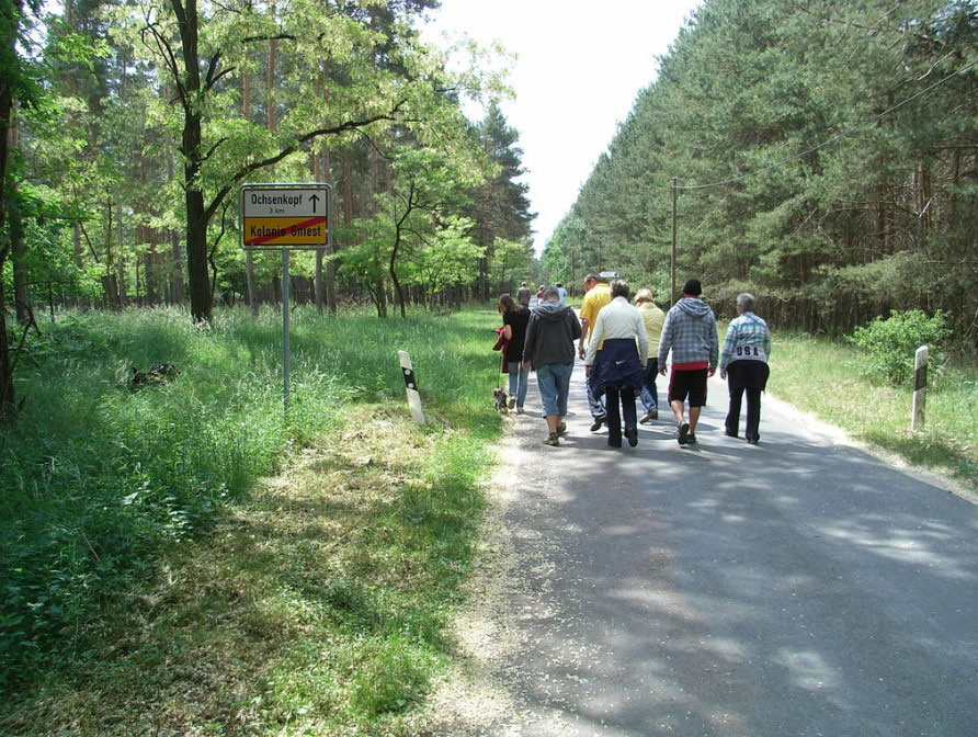 Trainingslager 2011 in der Dübener Heide